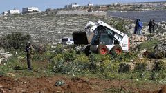 مستوطنون يقطعون 550 شجرة كرمة ولوزيات شرق رام الله