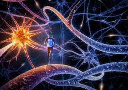 الخلايا العصبية "مرسال" الإشارات بين المخ والجسم
