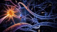 الخلايا العصبية "مرسال" الإشارات بين المخ والجسم