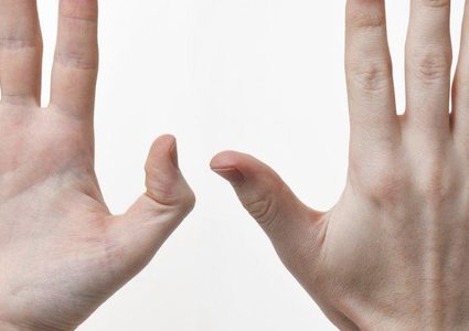 أصابعك لا تحتوى على عضلات تحركها.. كيف تعمل؟