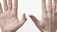 أصابعك لا تحتوى على عضلات تحركها.. كيف تعمل؟