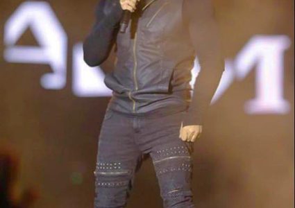 صور: تامر حسنى يحقق أعلى حضورا جماهيريا فى الحفلات الغنائية بمصر