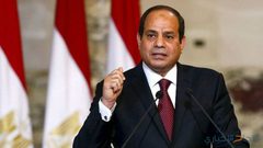 السيسي: الموقف المصري ثابت بحل الدولتين