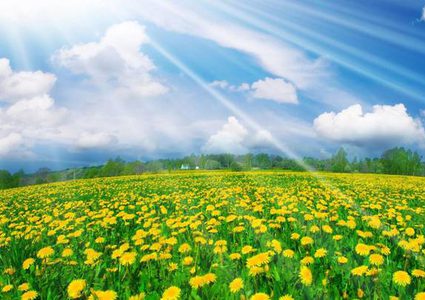 حالة الطقس: أجواء ربيعية معتدلة حتى الأربعاء