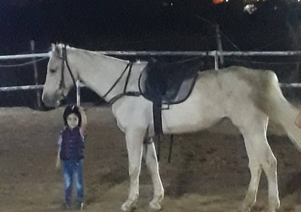 سهيل نصار .. فارس بعمر الخمس سنوات