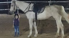 سهيل نصار .. فارس بعمر الخمس سنوات