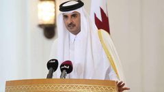 أمير قطر : التدخلات الدولية فاقمت الأزمة في سوريا