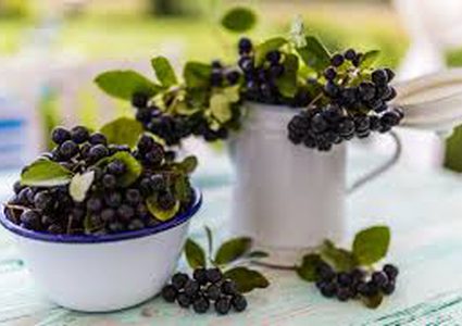 لهذه الأسباب عليك ادخال التوت الأزرق في غذائك