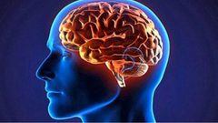 شريحة "دماغية" ذكية ستغير حياتك