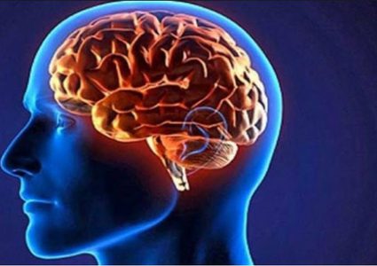 شريحة "دماغية" ذكية ستغير حياتك