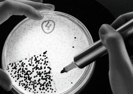 تحذيرات من عدوى فطرية قاتلة تجتاح العالم