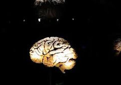 ما هو تأثير الدماغ على أحلامنا؟