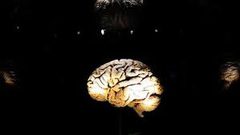 ما هو تأثير الدماغ على أحلامنا؟