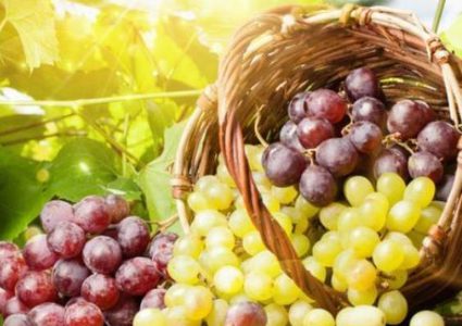 فوائد فاكهة العنب الصحية للحامل