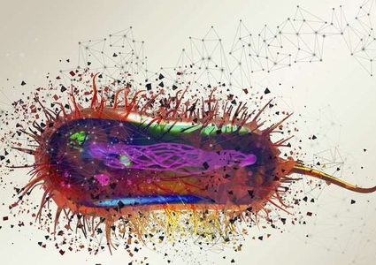 اكتشاف حل مبتكر لوقف كارثة عالمية خطيرة!