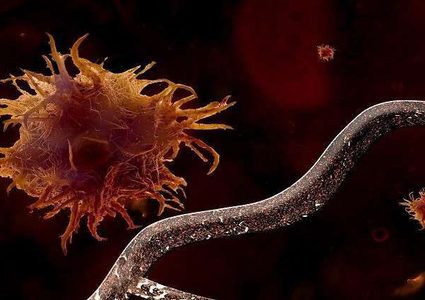 تطوير لقاح ثوري يعلم جهاز المناعة كيفية تدمير الأورام السرطانية