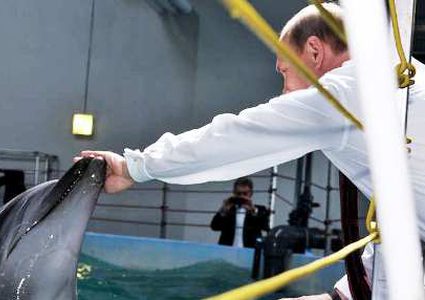 الجيش الروسي يتعلم "قوى نفسية خارقة" من الدلافين