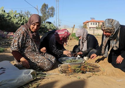 نساء فلسطينيات يحصدن القمح لتحضير الفريكة في حقل في خان يونس في جنوب قطاع غزة ، في 13 أبريل / نيسان 2019.