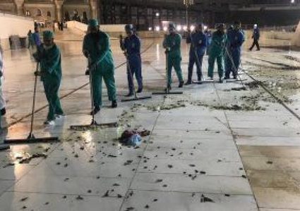 السعودية: انتهاء هجرة صرصور الليل الذي هاجم مكة