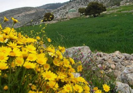 أجواء غائمة جزئيًّا ودرجات حرارة أقل من معدلها