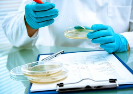 دراسة تكشف وجود ميكروب في الامعاء قد يسبب موت البكتيريا النافعة