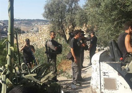 الاحتلال يحول مئات الدونمات جنوب نابلس إلى "محمية طبيعية"