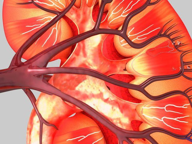 دراسة: علاج لمرض السكري يساعد في علاج امراض الكلى والقلب