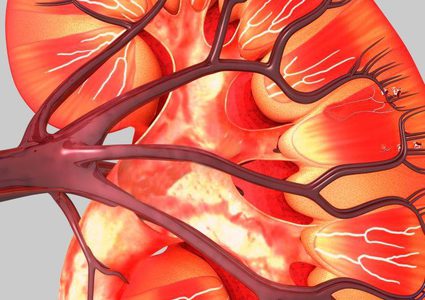 دراسة: علاج لمرض السكري يساعد في علاج امراض الكلى والقلب