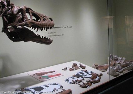 عرض ديناصور للبيع على موقع "إيباي"
