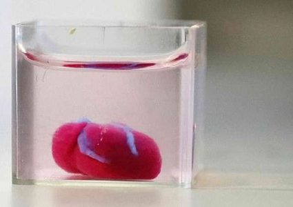 تطوير أول قلب بالطباعة ثلاثية الأبعاد مع أنسجة بشرية