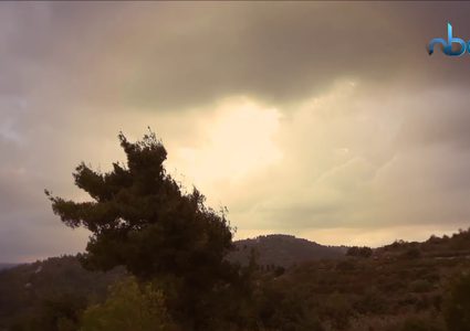 قرية صوبا المهجرة