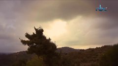 قرية صوبا المهجرة