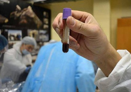 دم سائل بجثة عمرها 42 ألف سنة.. وآمال باستنساخ حيوان منقرض