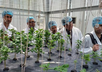 الوكالة الفلسطينية للتعاون الدولي تشرع في تنفيذ برنامج ببنغلادش