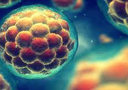 العلماء يبتكرون دوائر قابلة للبرمجة في خلايا البشر