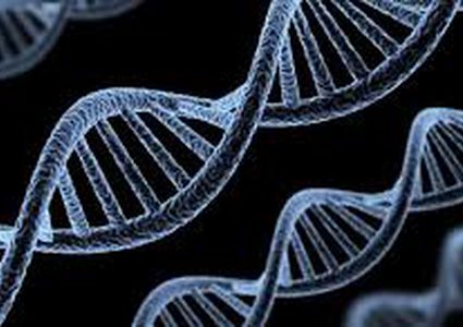 6 أمراض قد تنتقل لك بالوراثة