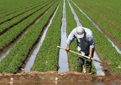 وزير الزراعة: نموذج لضبط الأسعار في رمضان و"تأمين زراعي" قريبا