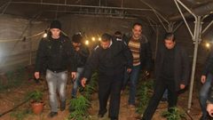 تقرير: الشرطة تعاملت مع 2132 قضية ضبط مخدرات خلال 2018