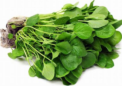 الفيتامينات التي يحتويها الجرجير وفوائدها