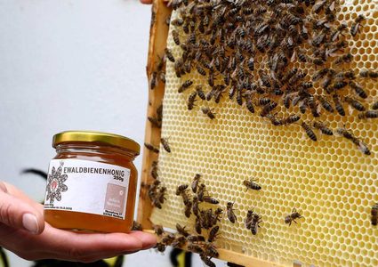 نصائح ثمينة لمن يريدون "العسل الأكثر فائدة"