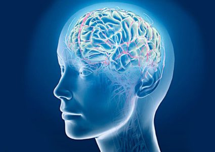 دراسة تفيد بإمكانية استعادة وظائف الدماغ بعد الموت