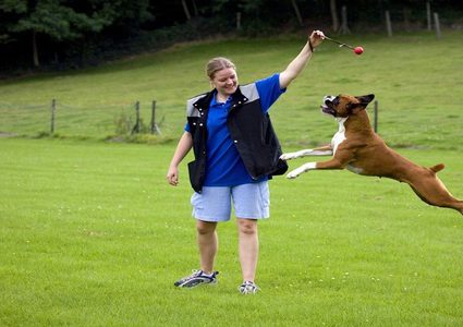 دراسة: "تأثير الكلب" يمنحك صحة أفضل!