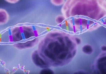 كشف السبب الرئيس للشيخوخة