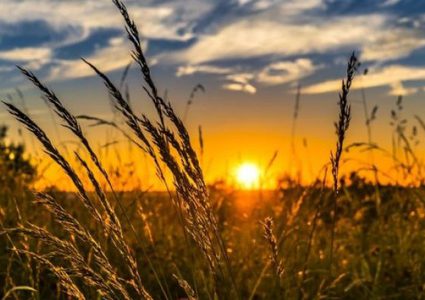 ارتفاع على درجات الحرارة