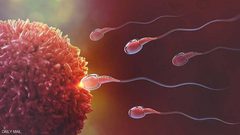 العقم عند الرجال.. علماء يكتشفون "السبب المعرقل"