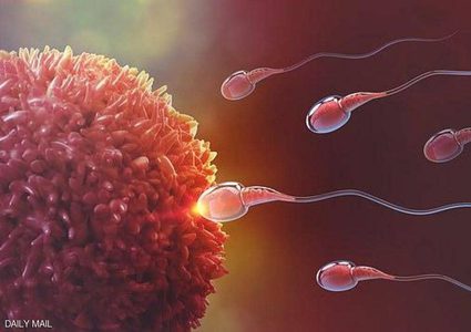 العقم عند الرجال.. علماء يكتشفون "السبب المعرقل"