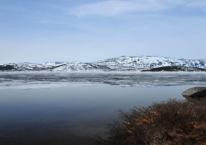 كارثة المناخ العالمية تبدأ بحصد الأرواح