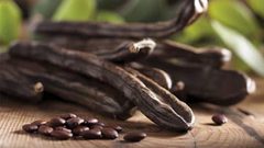 الخروب يساعد في خسارة الوزن ويحارب السرطان