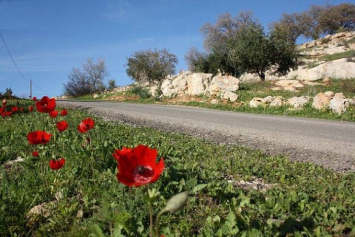 حالة الطقس: أجواء ربيعية وارتفاع ملموس على درجات الحرارة