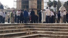 276 مستوطنا يقتحمون المسجد الأقصى